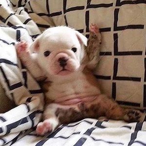 Meet your Posher, Brandy